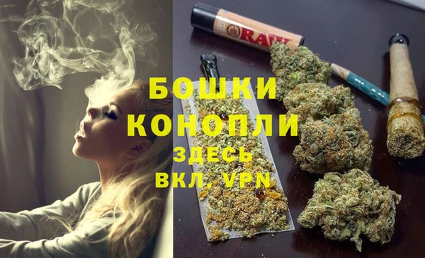 твердый Арсеньев