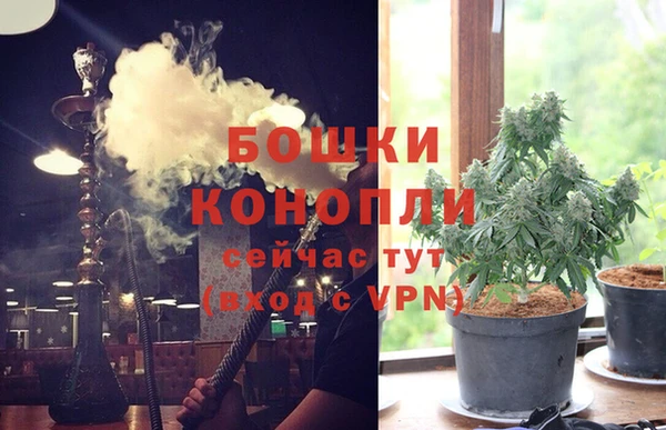твердый Арсеньев